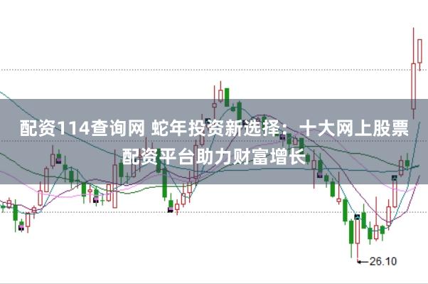 配资114查询网 蛇年投资新选择：十大网上股票配资平台助力财富增长