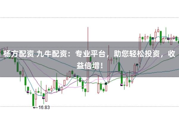杨方配资 九牛配资：专业平台，助您轻松投资，收益倍增！