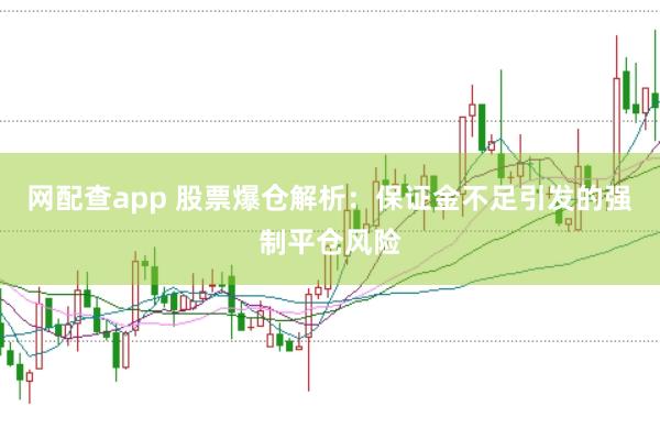 网配查app 股票爆仓解析：保证金不足引发的强制平仓风险